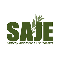 Strategic Actions for a Just Economy